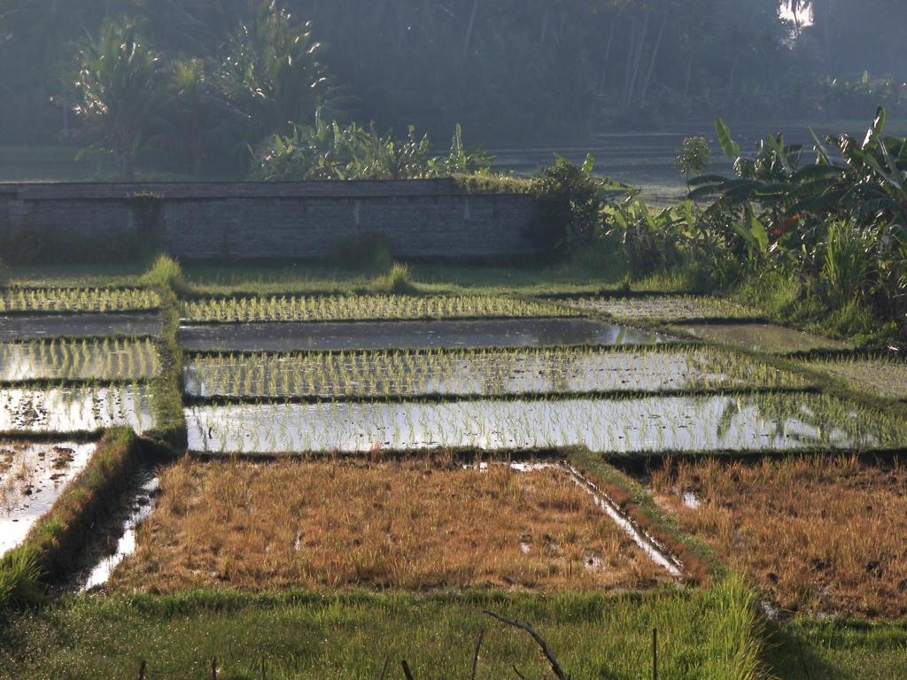 Tanah Lot Villa Kawan חדר תמונה
